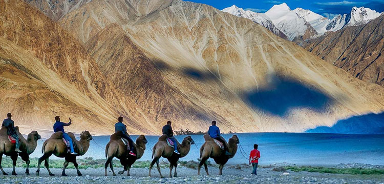 Leh Ladakh Tours